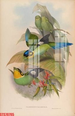 File in trần Tranh sơn dầu phương tây tổng hợp STS70795 (bản gốc) phong cảnh