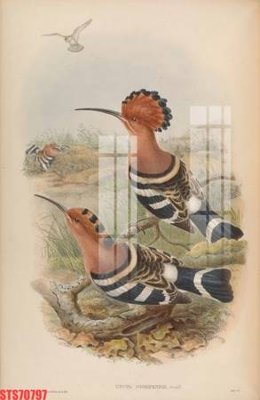 File tranh quảng cáo Tranh sơn dầu phương tây tổng hợp STS70797 (download file gốc)