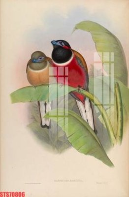 File gốc in mica Tranh sơn dầu phương tây tổng hợp STS70806 chất lượng