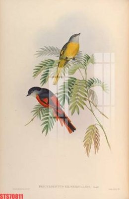 File in ấn Tranh sơn dầu phương tây tổng hợp STS70811 (bản gốc) cao cấp