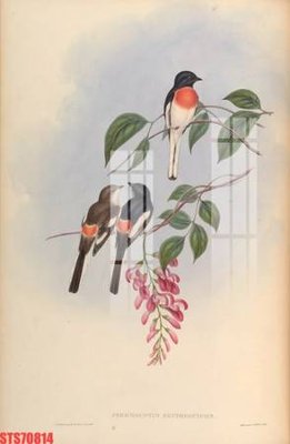 File tranh Tranh sơn dầu phương tây tổng hợp STS70814 (bản gốc) trang trí văn phòng