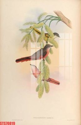 Tải file Tranh sơn dầu phương tây tổng hợp STS70819 (gốc) in nhanh