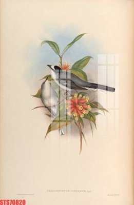 File in ấn chuyên nghiệp Tranh sơn dầu phương tây tổng hợp STS70820 (file gốc)