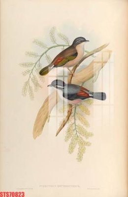 File gốc Tranh sơn dầu phương tây tổng hợp STS70823 (in mica) làm quà tặng