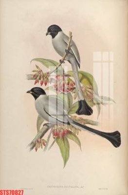 Tải file gốc Tranh sơn dầu phương tây tổng hợp STS70827 (in tráng gương) cao cấpFile gốc Tranh sơn dầu phương tây tổng hợp STS70827 (in ấn) phiên bản độc quyền