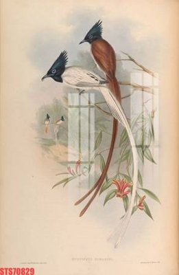 File in mica Tranh sơn dầu phương tây tổng hợp STS70829 (bản gốc) sắc sảo