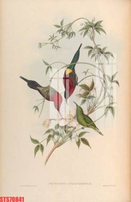 Hình ảnh gốc Tranh sơn dầu phương tây tổng hợp STS70841 (để in khổ lớn)