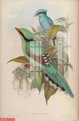 File tranh Tranh sơn dầu phương tây tổng hợp STS70849 (ảnh gốc) in trần nhà