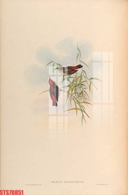 Download file tranh PSD Tranh sơn dầu phương tây tổng hợp STS70851 để chỉnh sửa