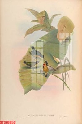 File tranh Tranh sơn dầu phương tây tổng hợp STS70853 (ảnh gốc) chi tiết rõ ràng