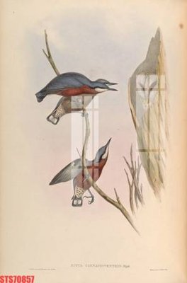 Download file gốc Tranh sơn dầu phương tây tổng hợp STS70857 (độ nét cao)