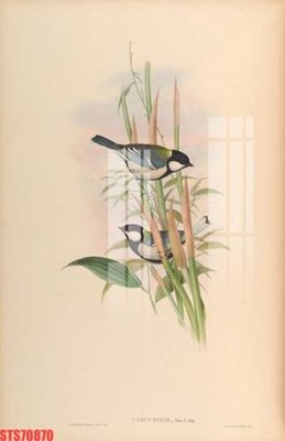 Tải file Tranh sơn dầu phương tây tổng hợp STS70870 (gốc) làm file quảng cáo