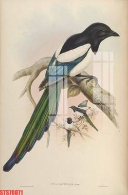 Tải file gốc Tranh sơn dầu phương tây tổng hợp STS70871 (in khổ lớn) không vỡ