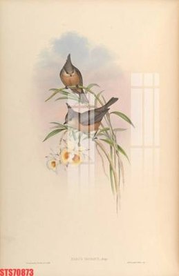 Mua file tranh gốc Tranh sơn dầu phương tây tổng hợp STS70873 tại Filetranh.com