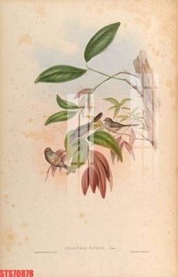 File gốc Tranh sơn dầu phương tây tổng hợp STS70878 (trang trí) phòng làm việc