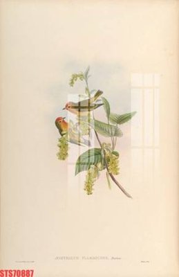 File PSD Tranh sơn dầu phương tây tổng hợp STS70887 (gốc) nhiều lớp (multi-layer)