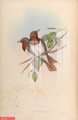 File gốc Tranh sơn dầu phương tây tổng hợp STS70894 (in lụa) trang trí tường