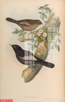 Download file gốc Tranh sơn dầu phương tây tổng hợp STS70899 (độ nét cao)