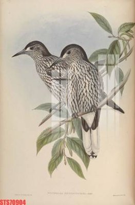 Download file gốc Tranh sơn dầu phương tây tổng hợp STS70904 (in mica) trong suốt