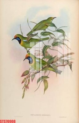 File in trần Tranh sơn dầu phương tây tổng hợp STS70908 (file gốc) chủ đề vũ trụ