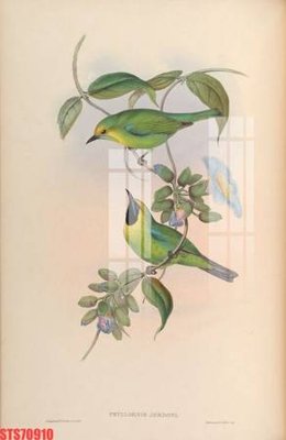 Download file Tranh sơn dầu phương tây tổng hợp STS70910 (gốc) cho xưởng in