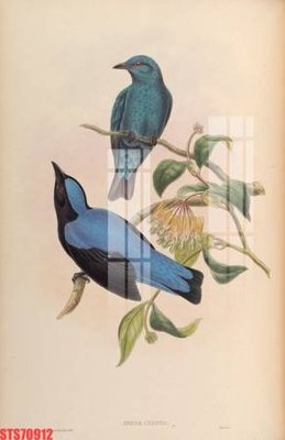 Tải file Tranh sơn dầu phương tây tổng hợp STS70912 (gốc) để in ấn ngay