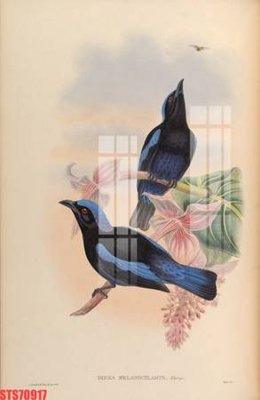 Ảnh mô tả file gốc in mica Tranh sơn dầu phương tây tổng hợp STS70917