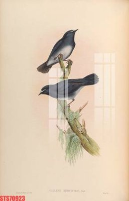 Tải file gốc Tranh sơn dầu phương tây tổng hợp STS70923 (bản PSD) chỉnh sửa được