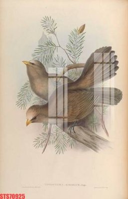 File ảnh Tranh sơn dầu phương tây tổng hợp STS70925 (gốc) in backdrop sự kiện