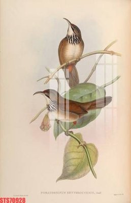 File tranh Tranh sơn dầu phương tây tổng hợp STS70928 (bản gốc) in canvas