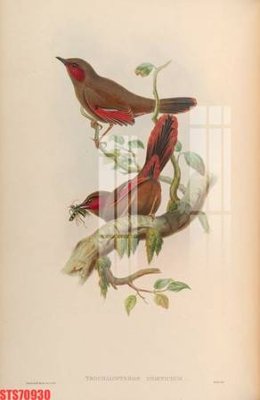 File in mica Tranh sơn dầu phương tây tổng hợp STS70930 (bản gốc) sắc sảo