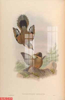 Tải file gốc Tranh sơn dầu phương tây tổng hợp STS70933 (bản PSD) chỉnh sửa được