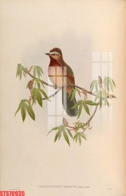 File gốc Tranh sơn dầu phương tây tổng hợp STS70935 (PNG) nền trong suốt