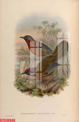 File in lụa Tranh sơn dầu phương tây tổng hợp STS70940 (phong cảnh) Tranh sơn dầu phương tây tổng hợp STS70940