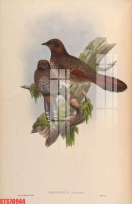 File tranh Tranh sơn dầu phương tây tổng hợp STS70944 (gốc) chủ đề trẻ em