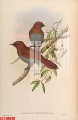 Tải file Tranh sơn dầu phương tây tổng hợp STS70948 (gốc) chủ đề phong thủy