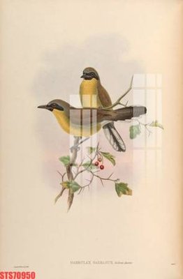 Mua file gốc Tranh sơn dầu phương tây tổng hợp STS70950 (in ấn) tại Filetranh.com