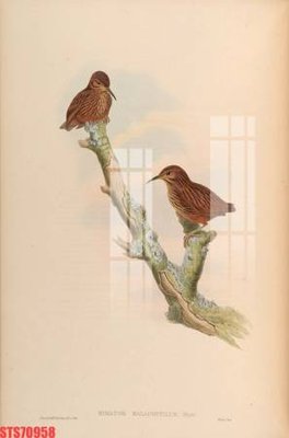 File gốc Tranh sơn dầu phương tây tổng hợp STS70958 (PNG) chất lượng cao