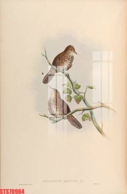 Ảnh mô tả file gốc in mica Tranh sơn dầu phương tây tổng hợp STS70964