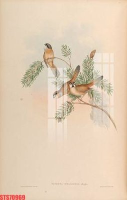 Tải file gốc Tranh sơn dầu phương tây tổng hợp STS70969 (in tráng gương) siêu đẹpFile tranh gốc Tranh sơn dầu phương tây tổng hợp STS70969 chất lượng cao