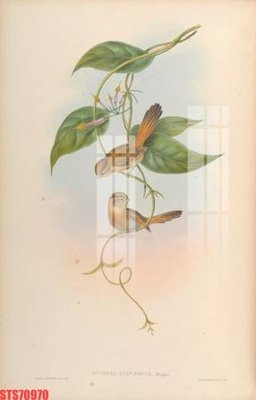 File in trần Tranh sơn dầu phương tây tổng hợp STS70970 (file gốc) phong thủy