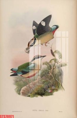 Tải file Tranh sơn dầu phương tây tổng hợp STS70971 (gốc) làm tranh treo tường