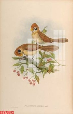 File gốc Tranh sơn dầu phương tây tổng hợp STS70973 (ảnh rõ nét) để in