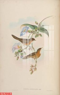 File tranh Tranh sơn dầu phương tây tổng hợp STS70983 (ảnh gốc) in trần xuyên sáng