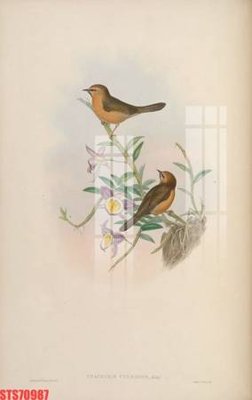 Tệp tin gốc Tranh sơn dầu phương tây tổng hợp STS70987 (chất lượng cao) Tranh sơn dầu phương tây tổng hợp STS70987