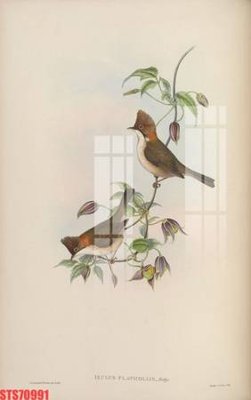 File tranh Tranh sơn dầu phương tây tổng hợp STS70991 (ảnh gốc) không bị mờ