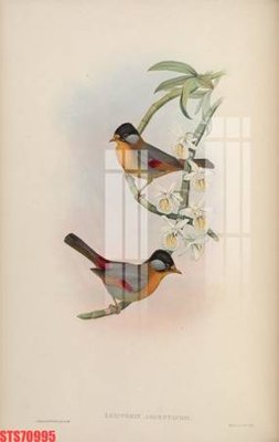 Mua file gốc Tranh sơn dầu phương tây tổng hợp STS70995 (in ấn) tại Filetranh.com