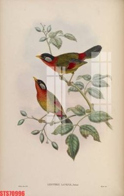 File tranh Tranh sơn dầu phương tây tổng hợp STS70996 (bản gốc) in lụa 3D