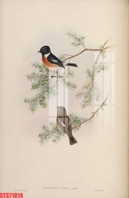 Download file Tranh sơn dầu phương tây tổng hợp STS71014 (gốc) in mica cao cấp