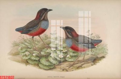 Download file gốc Tranh sơn dầu phương tây tổng hợp STS71037 (in mica) trang trí